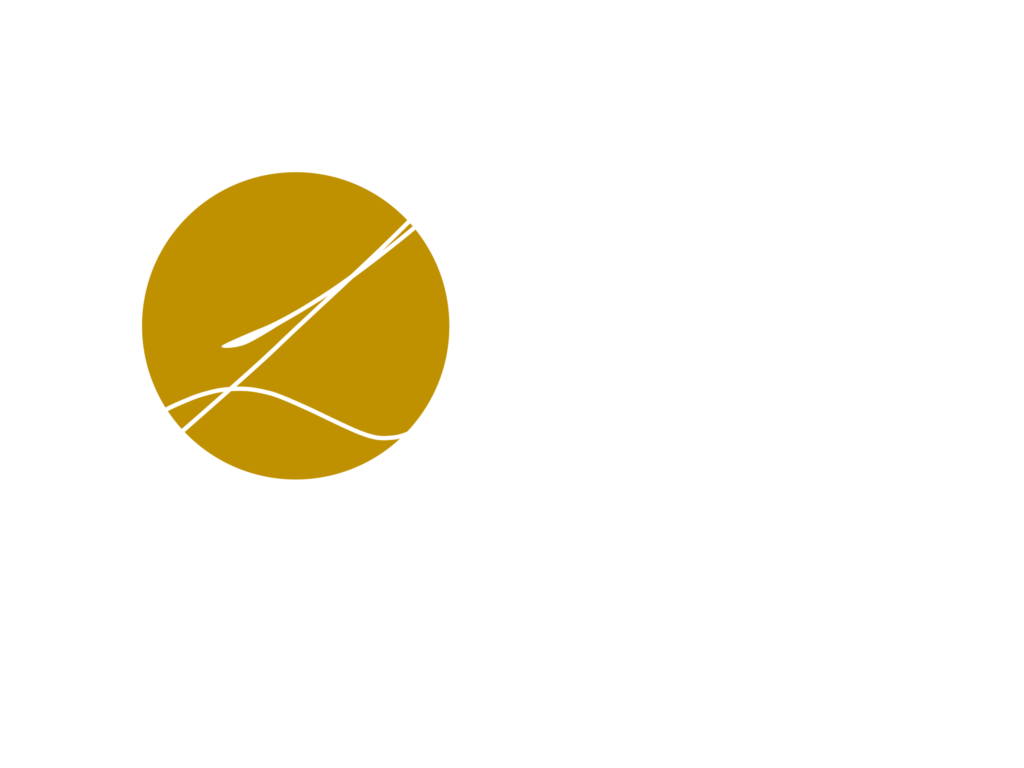 Leoci Consulting Logo weiß